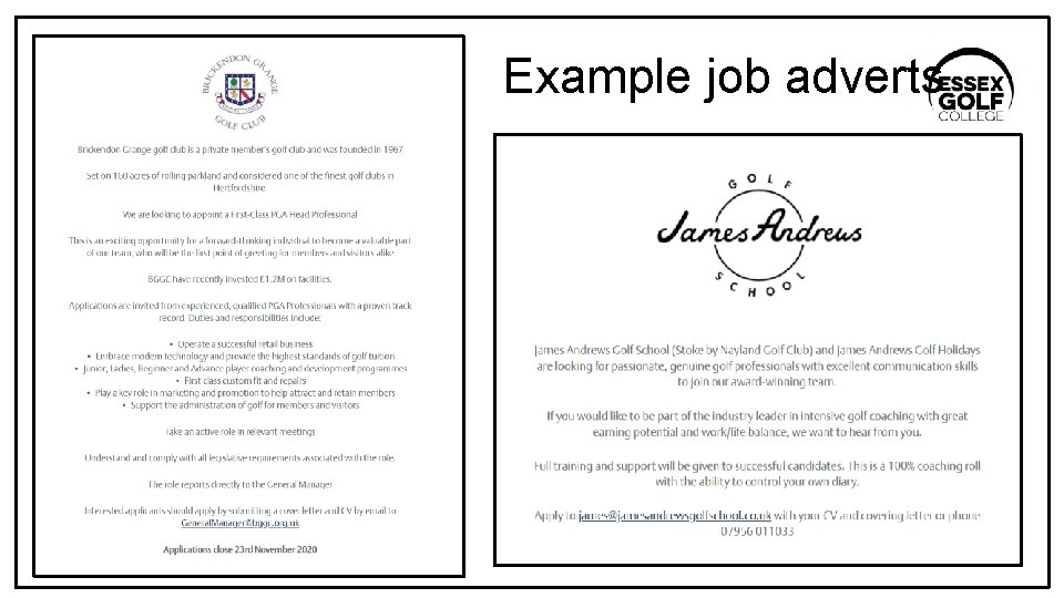 Example job adverts 