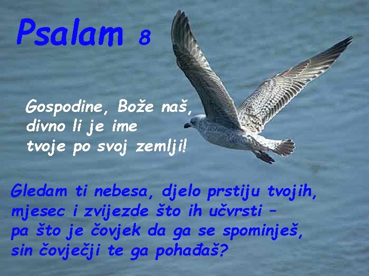 Psalam 8 Gospodine, Bože naš, divno li je ime tvoje po svoj zemlji! Gledam