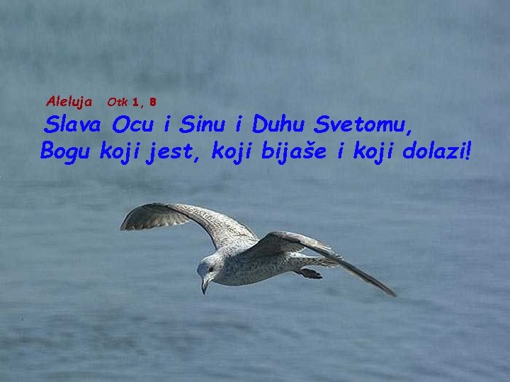 Aleluja Otk 1, 8 Slava Ocu i Sinu i Duhu Svetomu, Bogu koji jest,