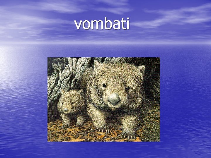 vombati 