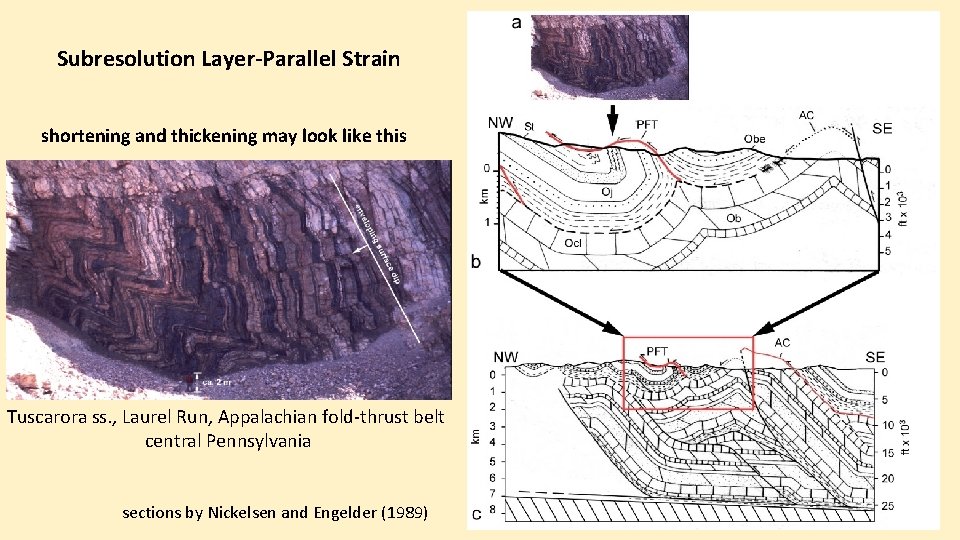 Subresolution Layer-Parallel Strain shortening and thickening may look like this Tuscarora ss. , Laurel