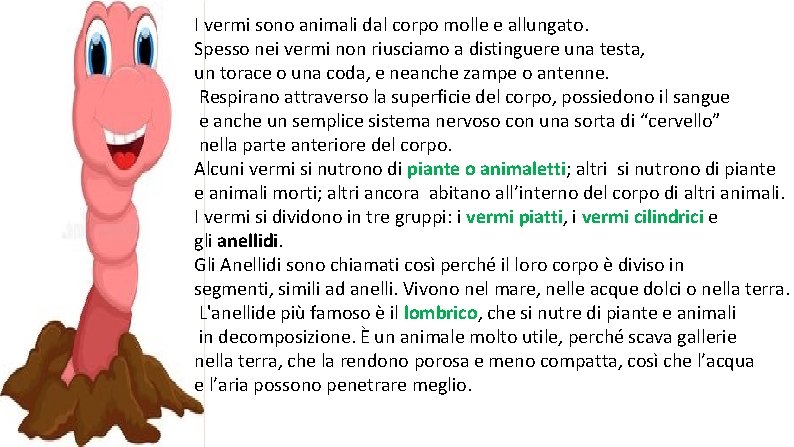 I vermi sono animali dal corpo molle e allungato. Spesso nei vermi non riusciamo