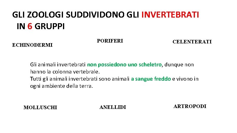 GLI ZOOLOGI SUDDIVIDONO GLI INVERTEBRATI IN 6 GRUPPI ECHINODERMI PORIFERI CELENTERATI Gli animali invertebrati