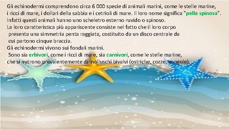 Gli echinodermi comprendono circa 6 000 specie di animali marini, come le stelle marine,