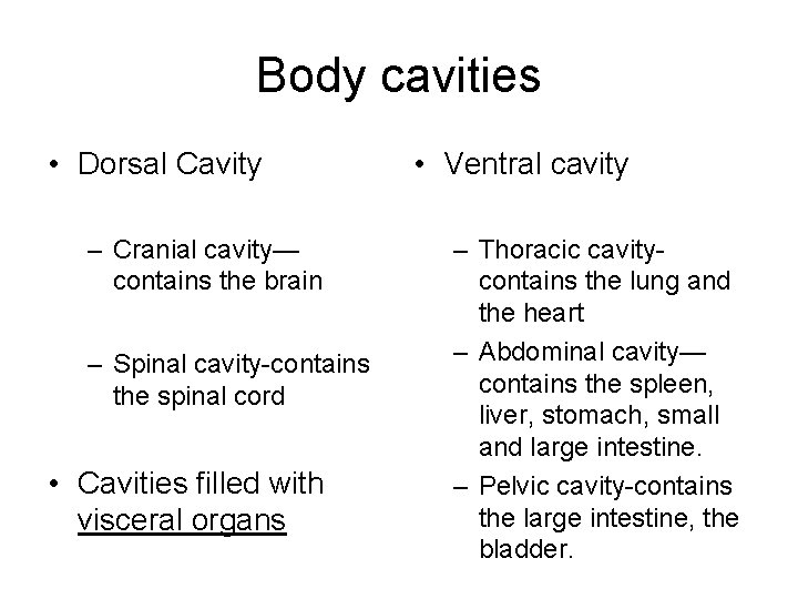 Body cavities • Dorsal Cavity – Cranial cavity— contains the brain – Spinal cavity-contains