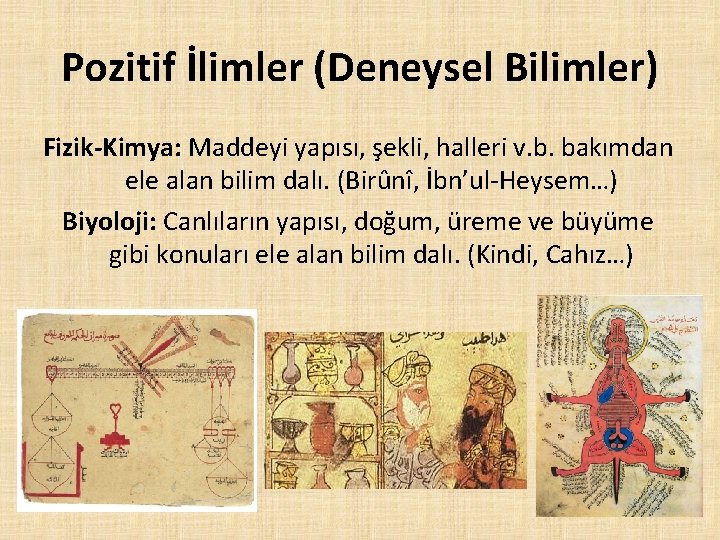 Pozitif İlimler (Deneysel Bilimler) Fizik-Kimya: Maddeyi yapısı, şekli, halleri v. b. bakımdan ele alan