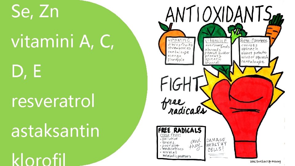 Se, Zn vitamini A, C, D, E resveratrol astaksantin 