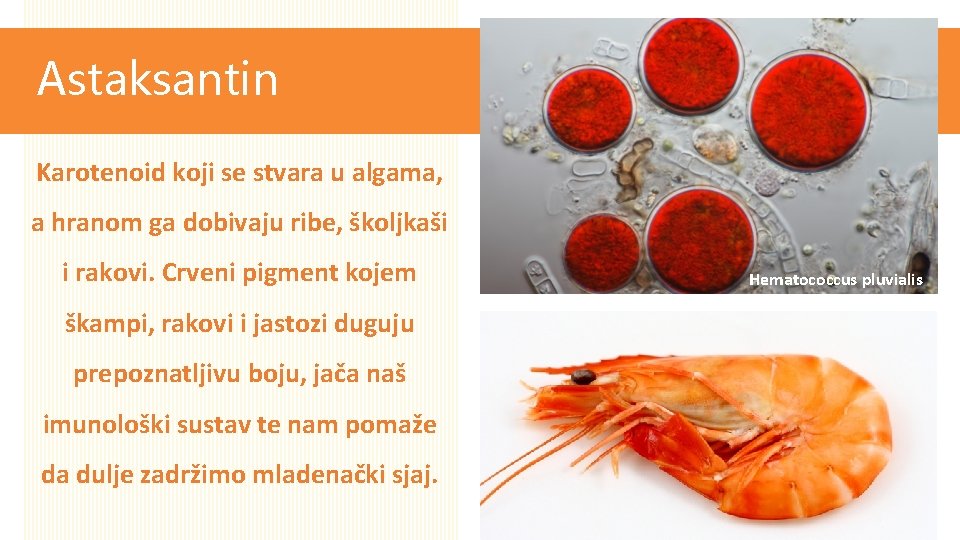 Astaksantin Karotenoid koji se stvara u algama, a hranom ga dobivaju ribe, školjkaši i