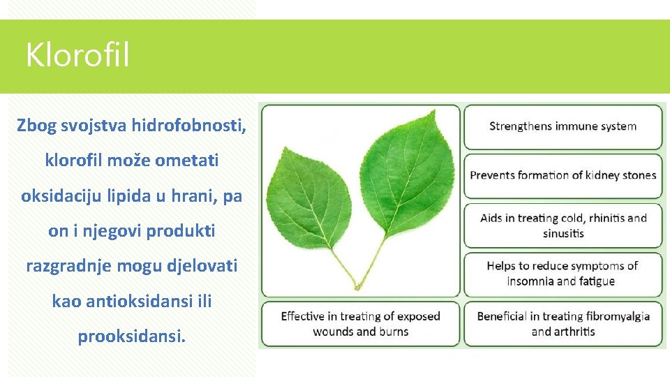 Klorofil Zbog svojstva hidrofobnosti, klorofil može ometati oksidaciju lipida u hrani, pa on i