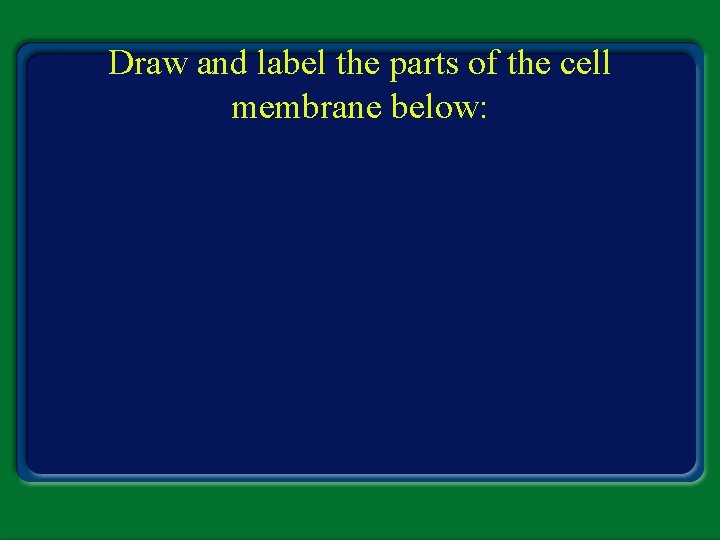 Draw and label the parts of the cell membrane below: 