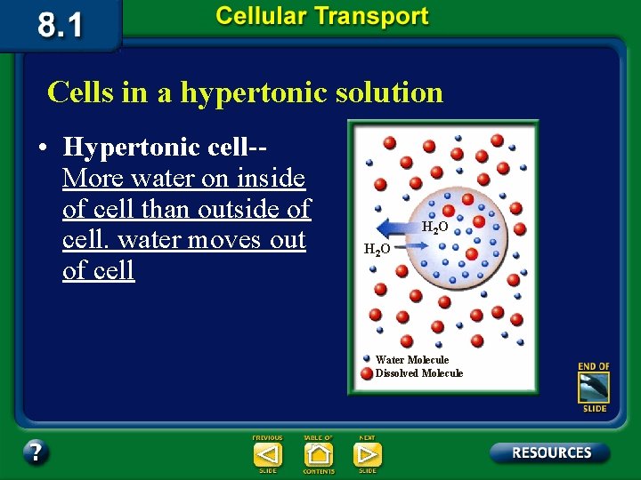 Cells in a hypertonic solution • Hypertonic cell-More water on inside of cell than