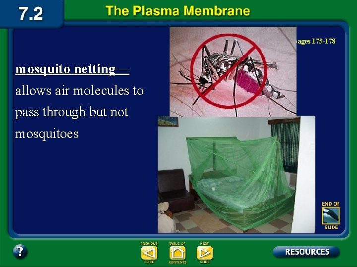 Summary Section 2 – pages 175 -178 mosquito netting— allows air molecules to pass