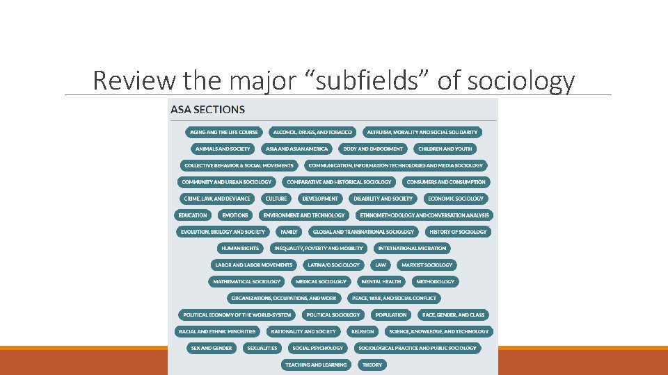 Review the major “subfields” of sociology 