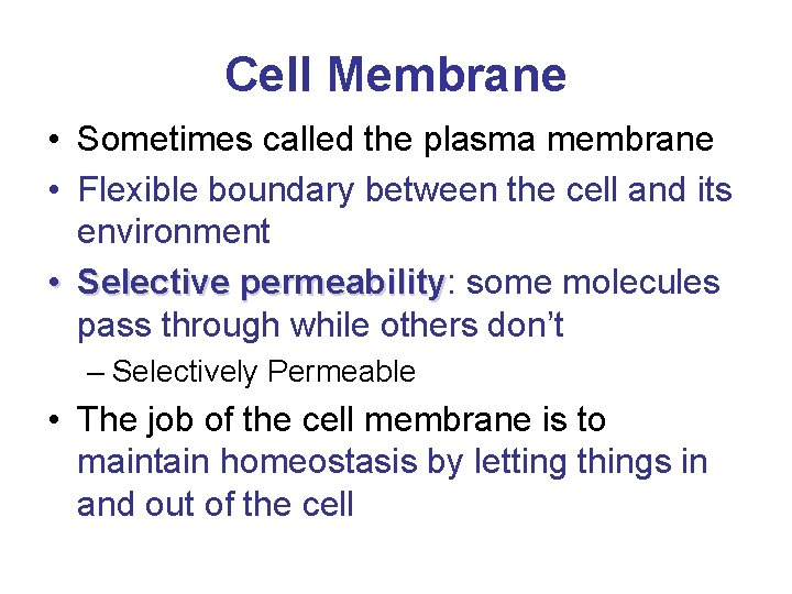 Cell Membrane • Sometimes called the plasma membrane • Flexible boundary between the cell