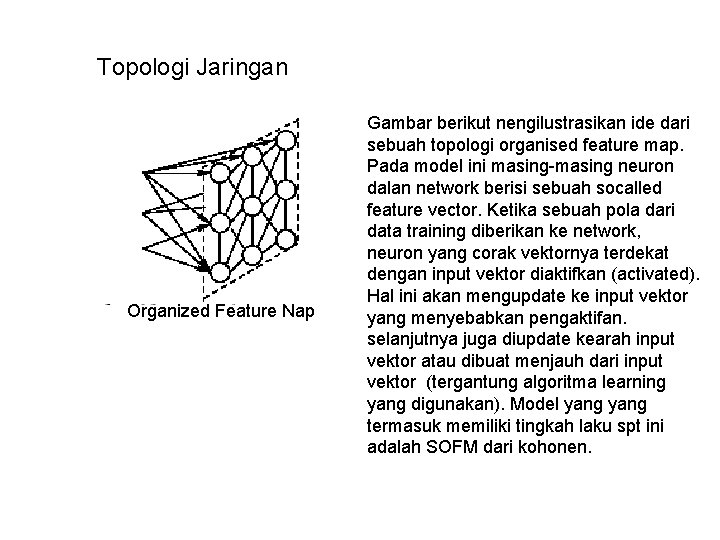 Topologi Jaringan Organized Feature Nap Gambar berikut nengilustrasikan ide dari sebuah topologi organised feature