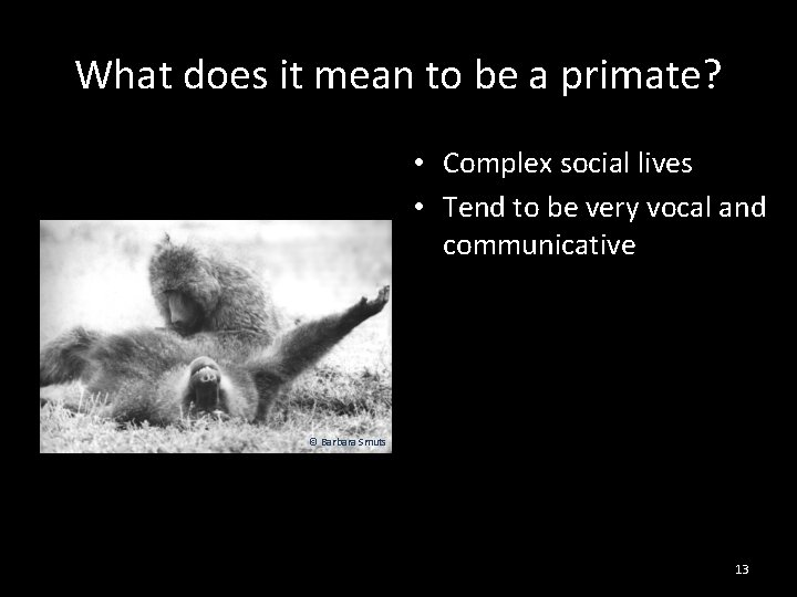 What does it mean to be a primate? • Complex social lives • Tend
