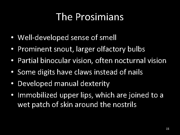 The Prosimians • • • Well-developed sense of smell Prominent snout, larger olfactory bulbs