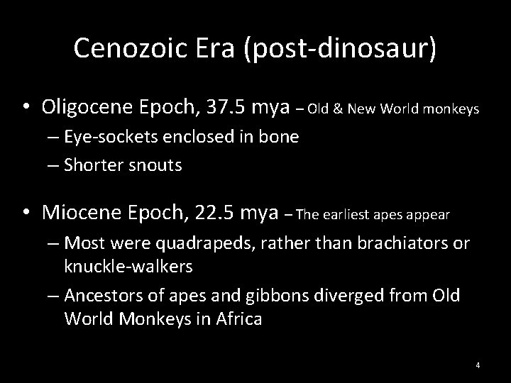 Cenozoic Era (post-dinosaur) • Oligocene Epoch, 37. 5 mya – Old & New World