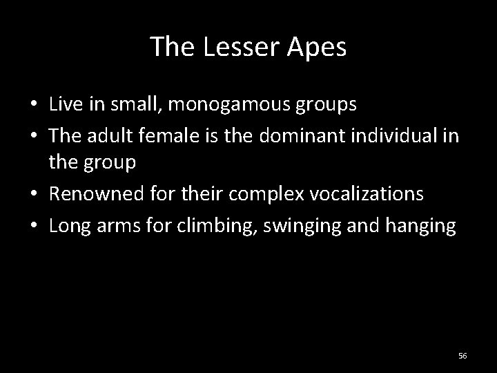The Lesser Apes • Live in small, monogamous groups • The adult female is