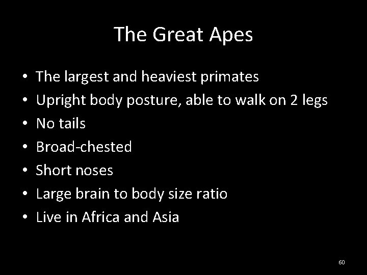 The Great Apes • • The largest and heaviest primates Upright body posture, able