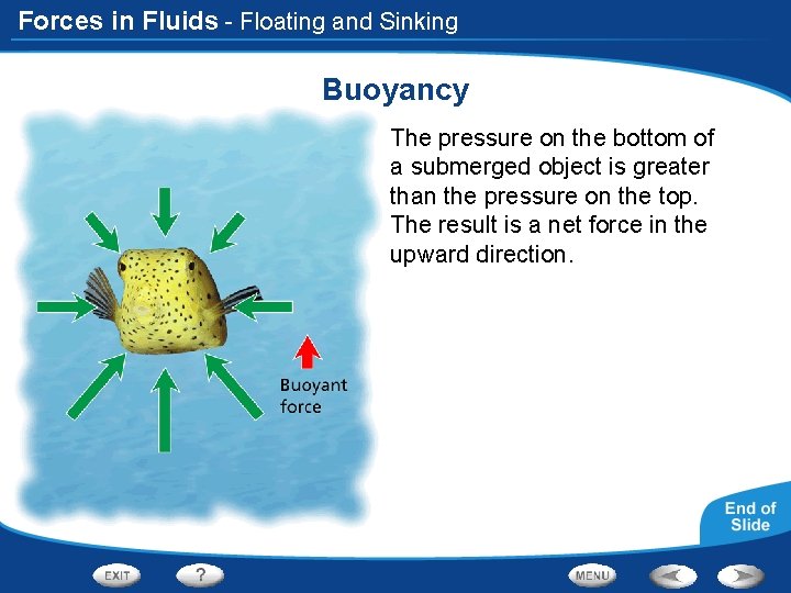 Forces in Fluids - Floating and Sinking Buoyancy The pressure on the bottom of