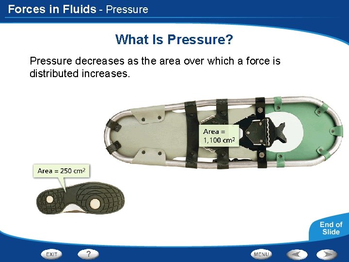 Forces in Fluids - Pressure What Is Pressure? Pressure decreases as the area over