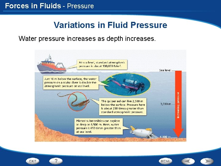 Forces in Fluids - Pressure Variations in Fluid Pressure Water pressure increases as depth