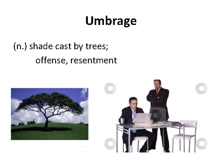 Umbrage (n. ) shade cast by trees; offense, resentment 