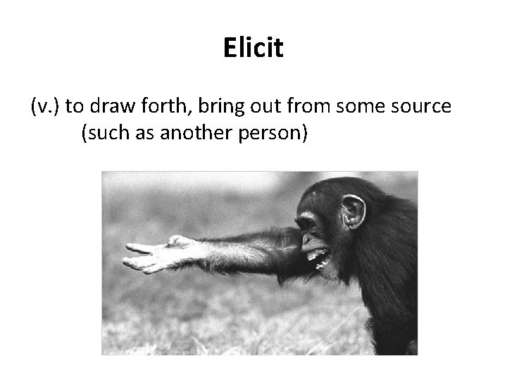 Elicit (v. ) to draw forth, bring out from some source (such as another