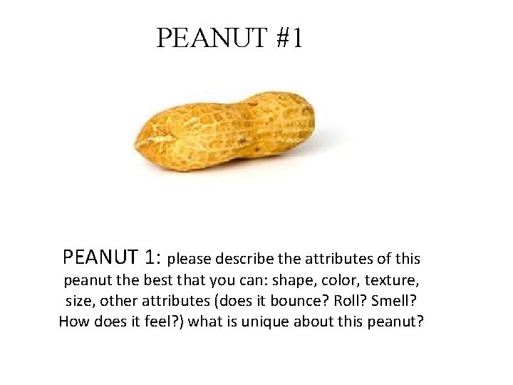 PEANUT #1 PEANUT 1: please describe the attributes of this peanut the best that