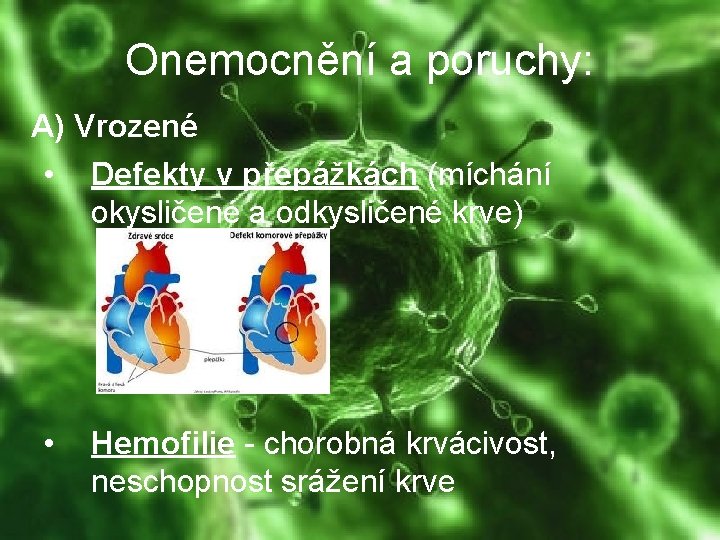 Onemocnění a poruchy: A) Vrozené • Defekty v přepážkách (míchání okysličené a odkysličené krve)