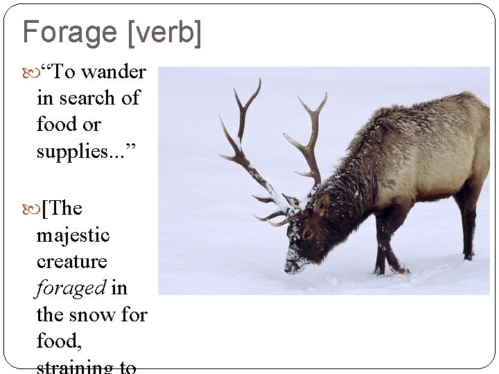 Forage [verb] “To wander in search of food or supplies. . . ” [The