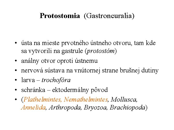 Protostomia (Gastroneuralia) • ústa na mieste prvotného ústneho otvoru, tam kde sa vytvorili na