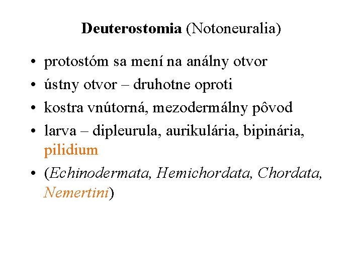 Deuterostomia (Notoneuralia) • • protostóm sa mení na análny otvor ústny otvor – druhotne