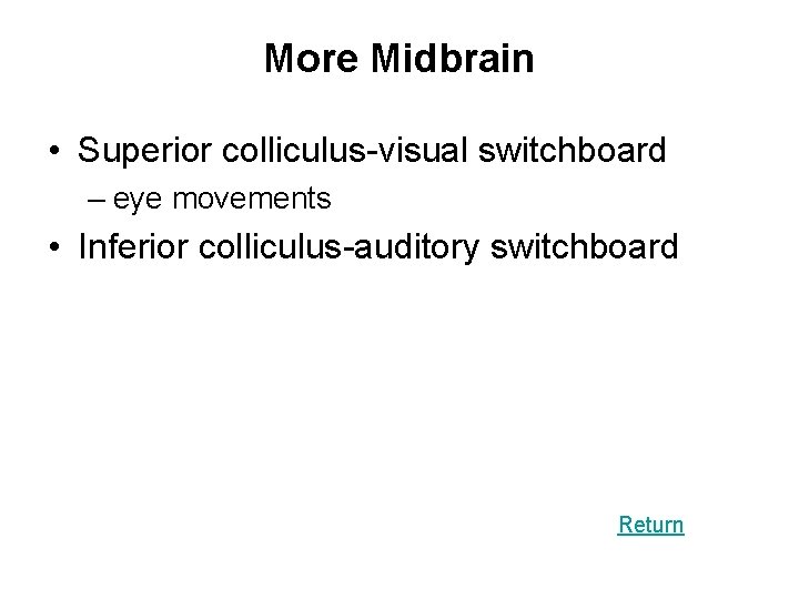 More Midbrain • Superior colliculus-visual switchboard – eye movements • Inferior colliculus-auditory switchboard Return