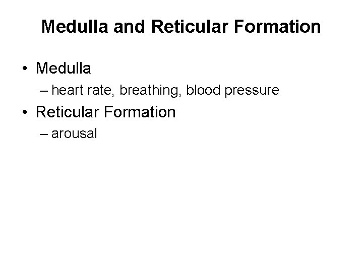 Medulla and Reticular Formation • Medulla – heart rate, breathing, blood pressure • Reticular