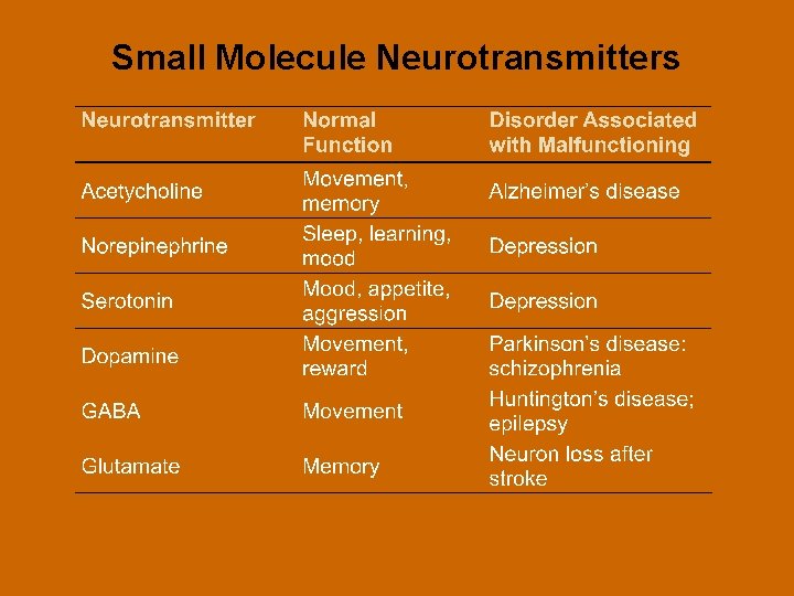 Small Molecule Neurotransmitters 