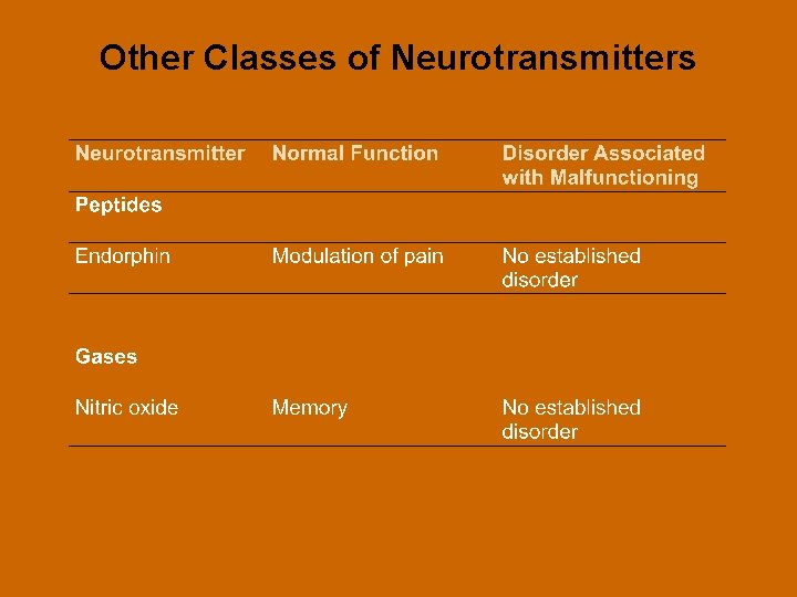 Other Classes of Neurotransmitters 