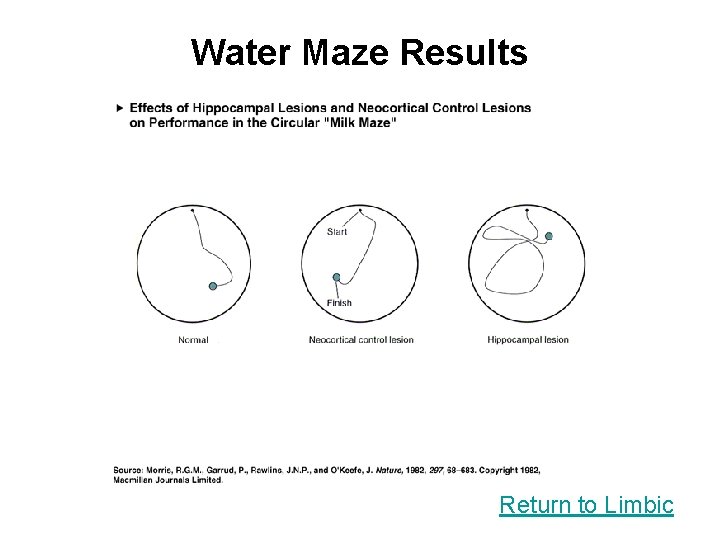 Water Maze Results Return to Limbic 