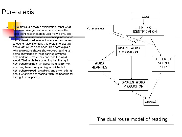 Pure alexia n Pure alexia: a possible explanation is that what the brain damage