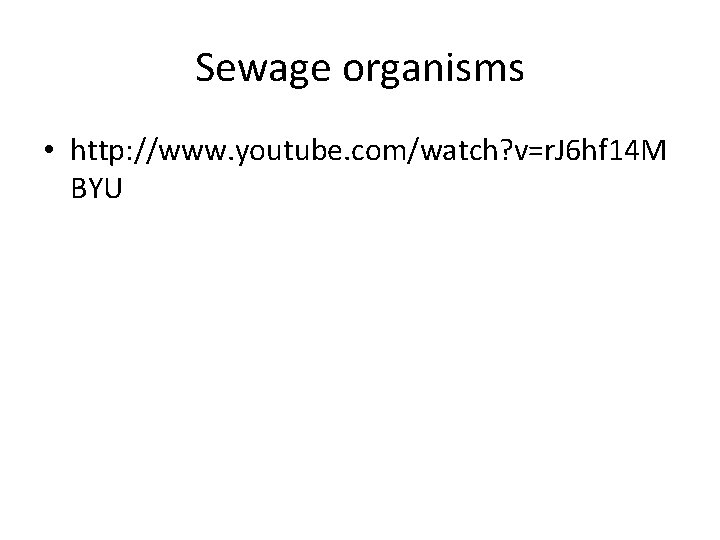 Sewage organisms • http: //www. youtube. com/watch? v=r. J 6 hf 14 M BYU
