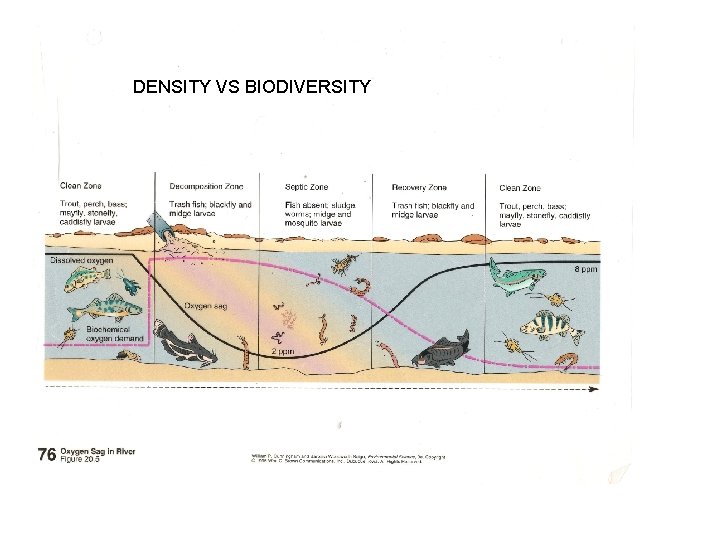 DENSITY VS BIODIVERSITY 