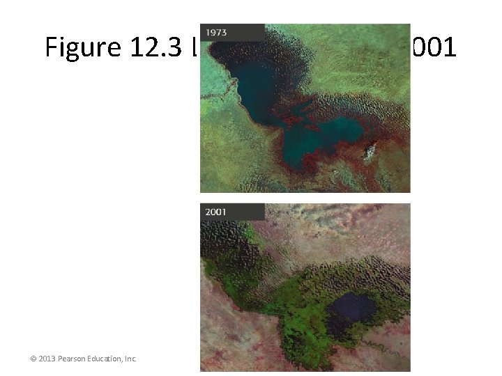 Figure 12. 3 Lake Chad 1973 -2001 © 2013 Pearson Education, Inc. 