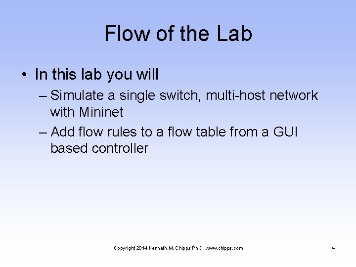 Flow of the Lab • In this lab you will – Simulate a single