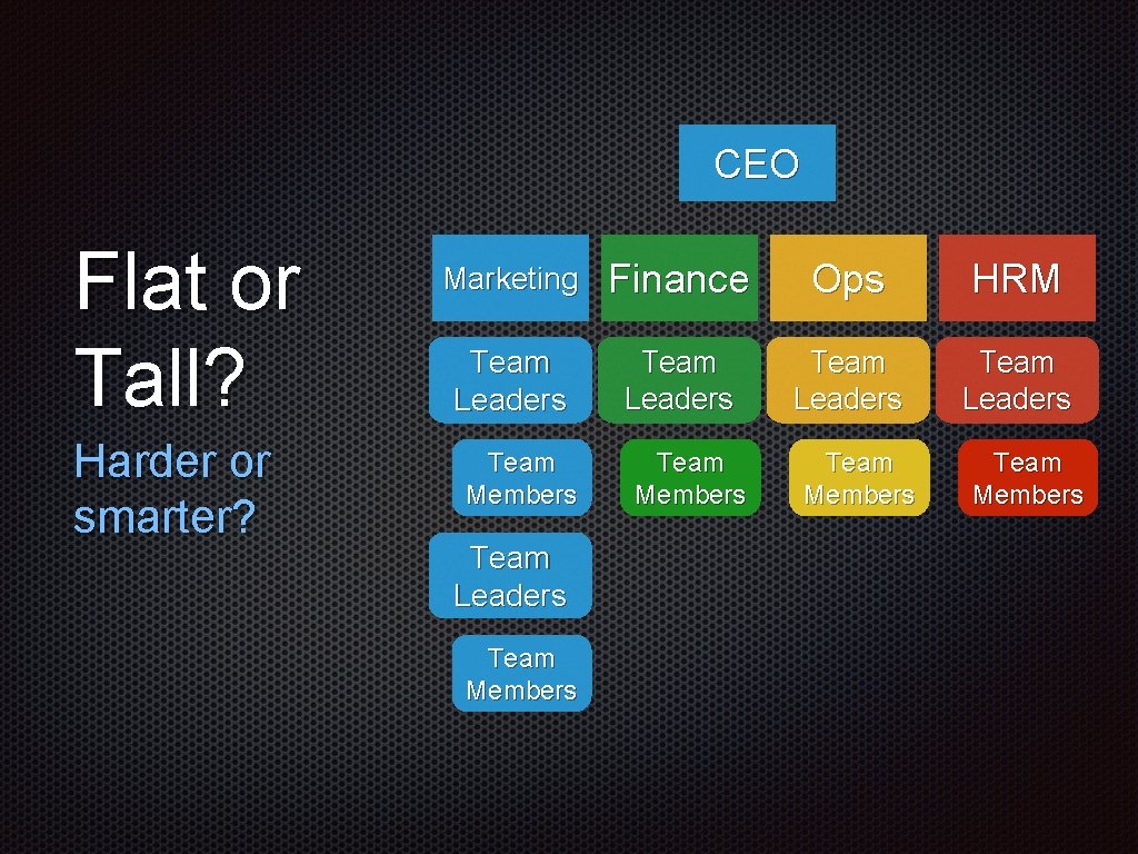 CEO Flat or Tall? Harder or smarter? Marketing Finance Ops HRM Team Leaders Team