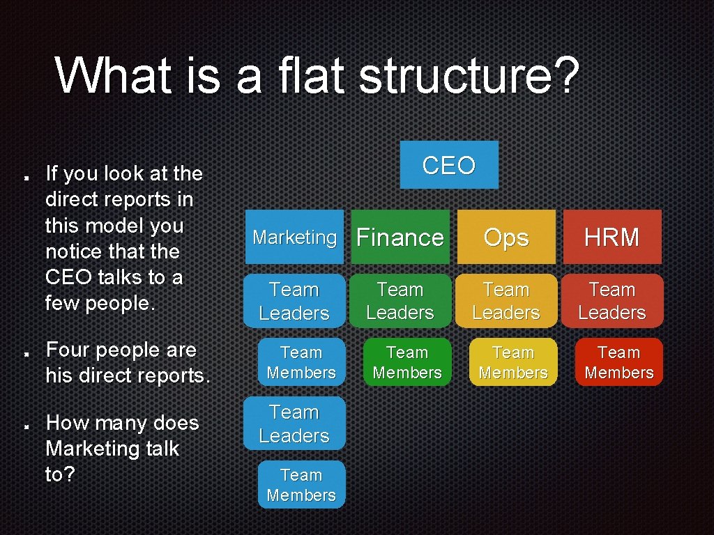What is a flat structure? If you look at the direct reports in this