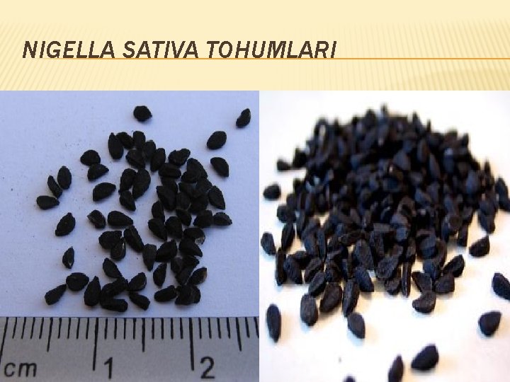 NIGELLA SATIVA TOHUMLARI 