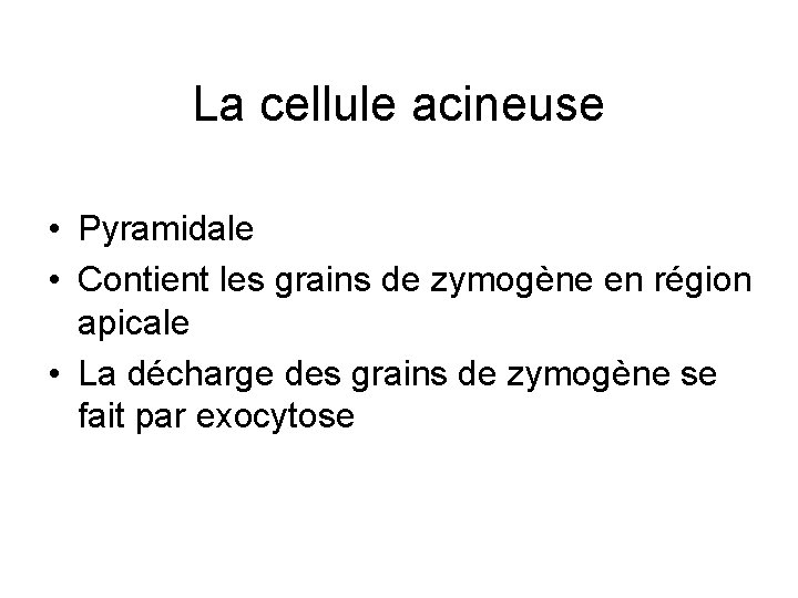 La cellule acineuse • Pyramidale • Contient les grains de zymogène en région apicale