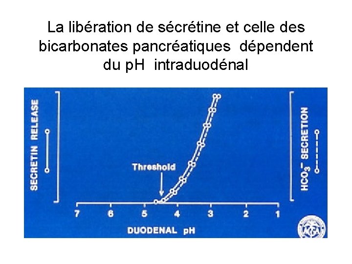 La libération de sécrétine et celle des bicarbonates pancréatiques dépendent du p. H intraduodénal
