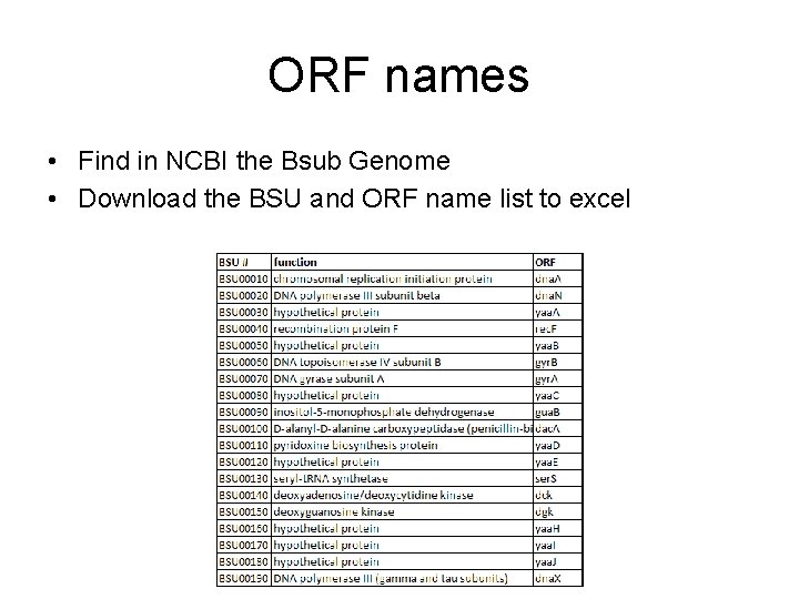 ORF names • Find in NCBI the Bsub Genome • Download the BSU and